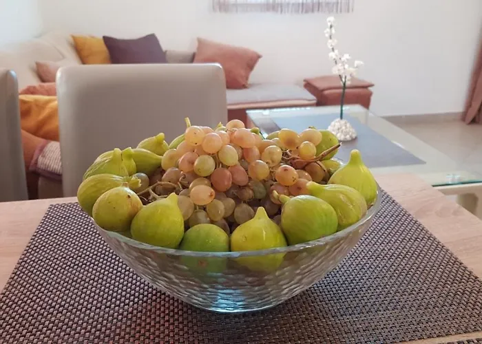 Zorica * ヴォディツェ